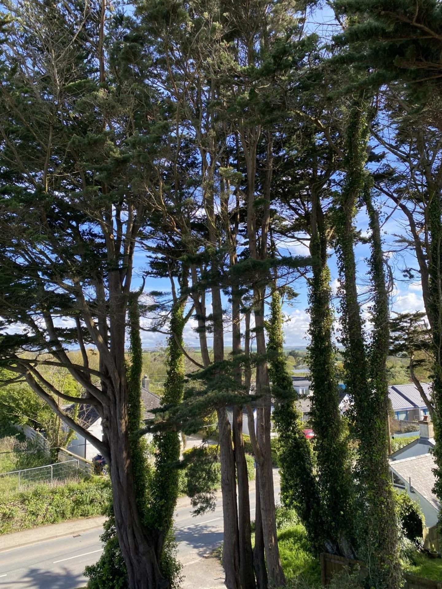 Bryher Wadebridge Exterior foto